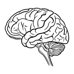 Human Brain Line Art Vector. Minimalist Anatomy Illustration. Medical and Science Concept Design.