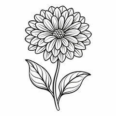 vector illustration of a calendula flower