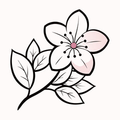 cherry blossom flower line art on white background