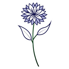 cornflower line art on white background