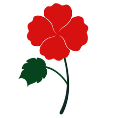 geranium flower silhouette on white background