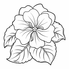 impatiens flower line art on white background