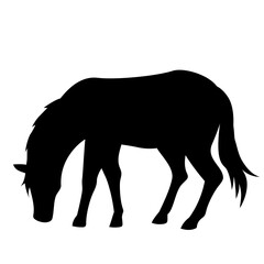 食事する馬のシルエットイラスト