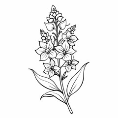 black and white flower