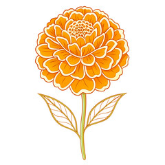 marigold flower silhouette on white background
