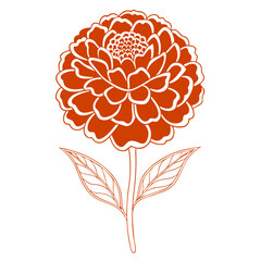 vector illustration of a marigold flower