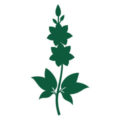  larkspur flower silhouette on white background