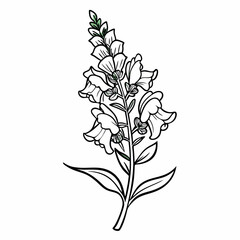 black and white flower