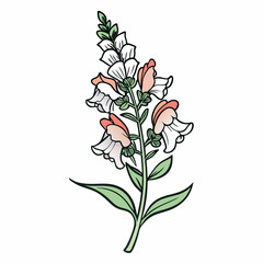 snapdragon flower line art on white background