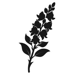 black and white flower