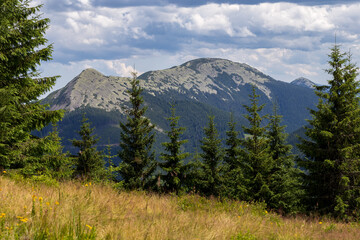 Carpathian National Nature Park. Landscape of the Ukrainian Carpathians view of Mount Synyak,...