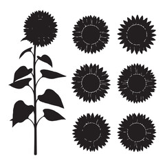 Fototapeta premium Collection of sunflower silhouettes isolated on white background for decoration
