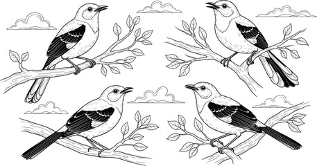 Perched bird vector set, nature branch illustrations, black silhouette artwork, editable graphic collection, wildlife themed design, cloud leaf background elements