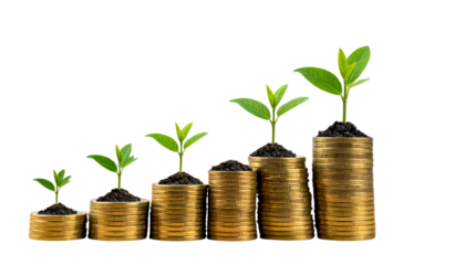 Money growth concept with seedlings and golden coin piles isolated on transparent background PNG