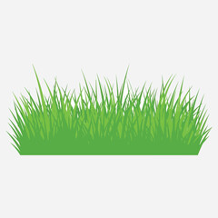 Obraz premium Fresh Green Grass Patch - Detailed Illustration of Natural Meadow Turf Clump Isolated on White Background