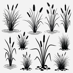 Black Cattail Silhouette Illustration Reedmace Plants, Grass Bunches
