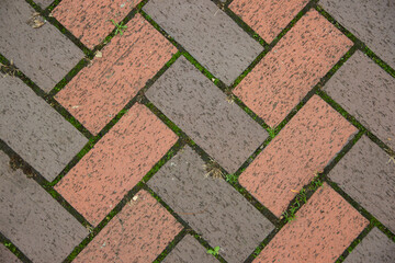 Textured brick pavement featuring a herringbone pattern with earthy tones and patches of grass, creating a natural and rustic outdoor flooring aesthetic
