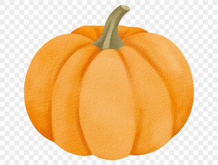 Watercolor orange pumpkin illustration for Thanksgiving harvest and holiday design. Vector.