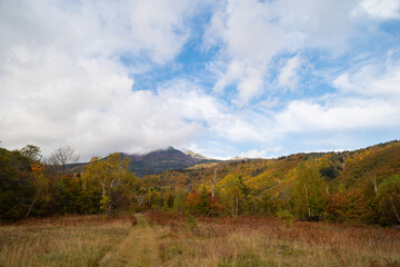 乗鞍高原の美しい紅葉