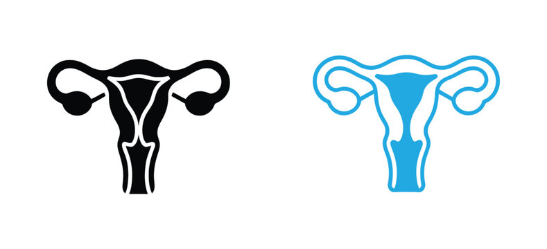 Vector colorful illustration icon for uterus