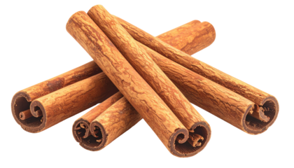 Group of cinnamon sticks, rolled edges, in warm brown tones against a stark black background