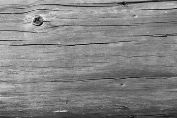 texture displaying intricate wood grain patterns in shades of gray and white creating a stunning...