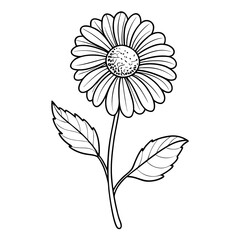 helenium amarum line art on white background