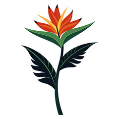 heliconia flor tropical silhouette on white background