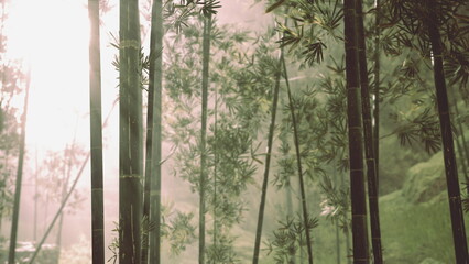 Naklejka premium Amidst the tranquil landscape, sunlight softly streams through lush bamboo groves, creating a peaceful atmosphere. The air is fresh, and nature thrives in this enchanting environment.