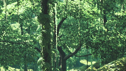 Fototapeta premium A dense forest filled with rich green foliage creates a peaceful environment. Sunlight filters through the leaves, illuminating the natural beauty and inviting exploration among the trees.