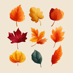 Autumn leaves set in vector style with white background.