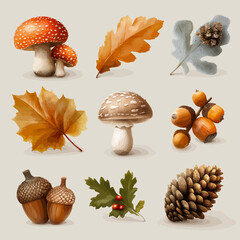 Realistic autumn elements collection with white background.
