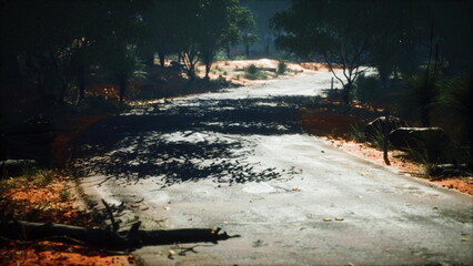 A serene dirt road meanders through a lush, sunlit forest. Shadows from trees play across the path, creating a peaceful atmosphere, inviting adventure and exploration.