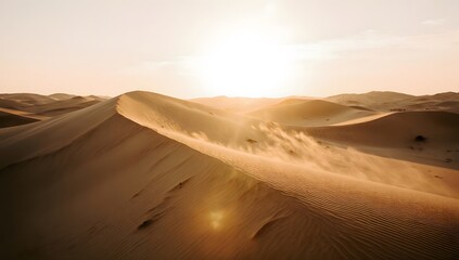 Sunset over desert sand dunes with soft golden light.