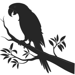 bird on a branch