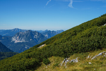 Mountainside Covered With Lowgrowing
