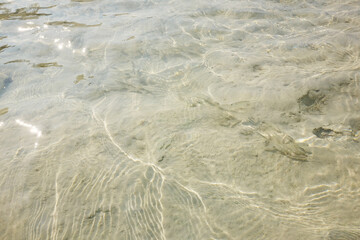 The sea water is crystal clear, you can see the coral reefs underwater and sunlight shimmers on the surface of water on Surin islands in National Park, Phang Nga of Thailand