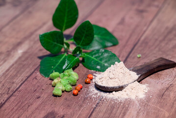 Withania somnifera ( Ashwagandha) Root powder, Green Fruit, green leaves on wooden background. Herb