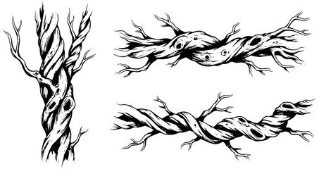 Creepy twisted tree branches for Halloween designs and spooky forest illustrations and eerie scenes