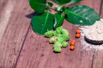 Withania somnifera ( Ashwagandha) Root powder, Green Fruit, green leaves on wooden background. Herb