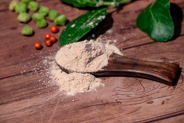 Withania somnifera ( Ashwagandha) Root powder, Green Fruit, green leaves on wooden background. Herb