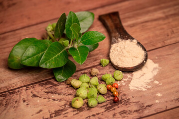 Withania somnifera ( Ashwagandha) Root powder, Green Fruit, green leaves on wooden background. Herb