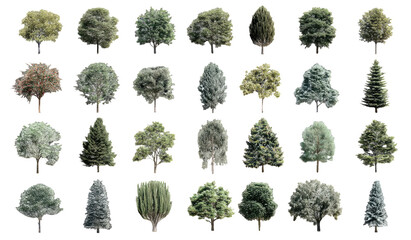 Variety of diverse tree shapes and foliage arranged against a black background for graphic design asset purposes