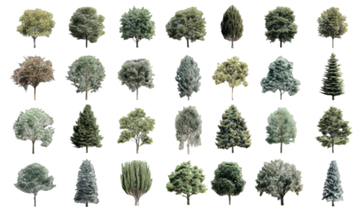 Variety of diverse tree shapes and foliage arranged against a black background for graphic design asset purposes