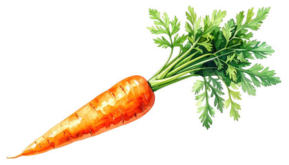 A watercolor painting of an orange carrot with green leafy top on a black background