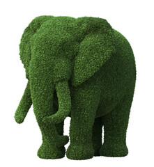 elephant shaped topiary shrub isolated on a transparent background
