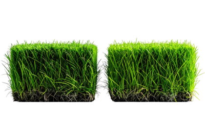 Two cuboid patches of green grass with visible roots isolated against a black background, brightly lit