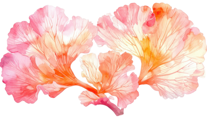 Two stylized, watercolor-style, pink-orange floral shapes are isolated against a black background