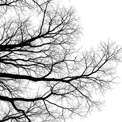 Illustration of silhouette of bare tree branches against a white background, creating a stark and graphic contrast, isolated on white background