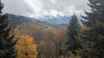 autumn, mountain, Carpathians, village, hills, hill	